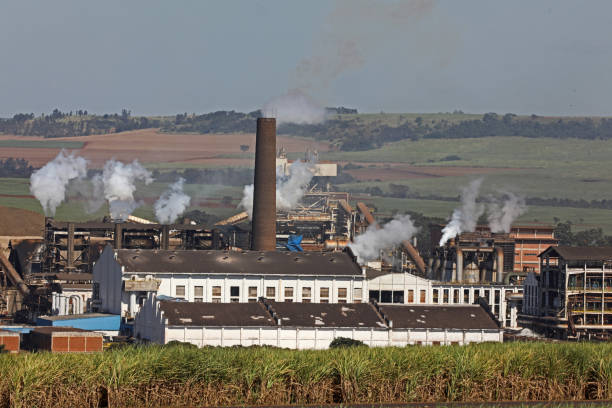 istock sugar cane mills, ethanol producer 1226655829