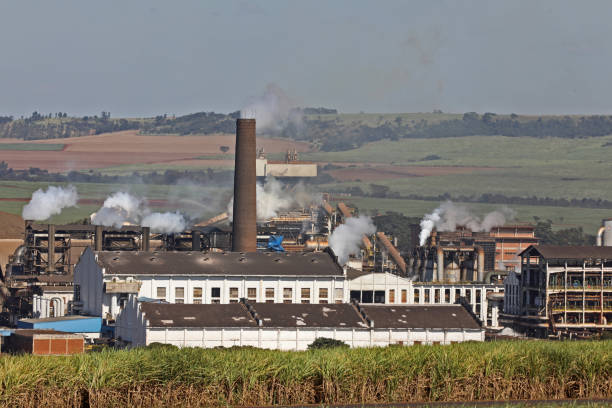 istock sugar cane mills, ethanol producer 1226655838