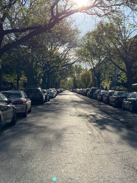 istock Brooklyn Street - Morning 1226660437