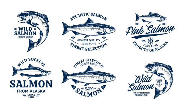 벡터 연어 아이콘 및 물고기 그림 - chinook salmon stock illustrations