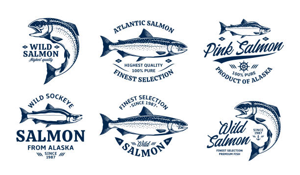 Vector salmon icons and fish illustrations Vector salmon icons on a white background. Atlantic, chinook, sockeye, and pink salmon fish illustrations. Seafood labels design fish farm icon stock illustrations