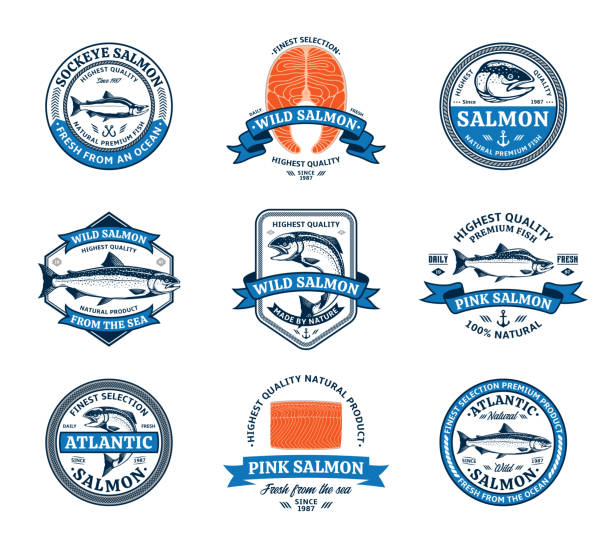 Salmon icons and design elements Vector salmon icons. Salmon fish illustrations, raw steaks, and fillet. Modern style seafood labels sockeye salmon filet stock illustrations