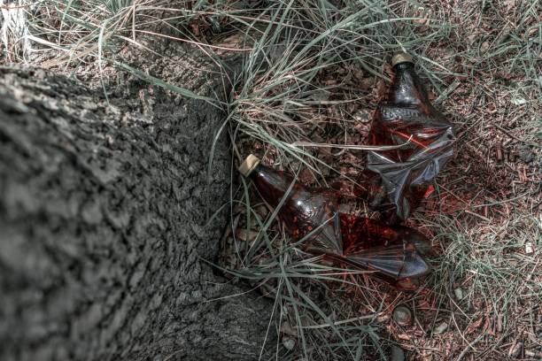 istock Trash environment. Rubbish plastic waste on forest woodland. Garbage in environment. Ecological problem with Empty used dirty plastic bottles. 1226662751