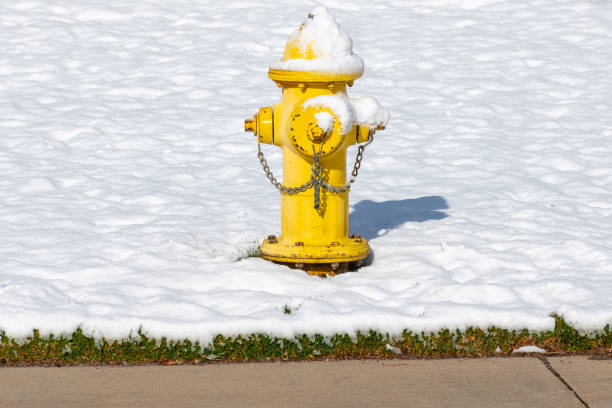Yellow fire hydrant stands out against the newly fallen snow.