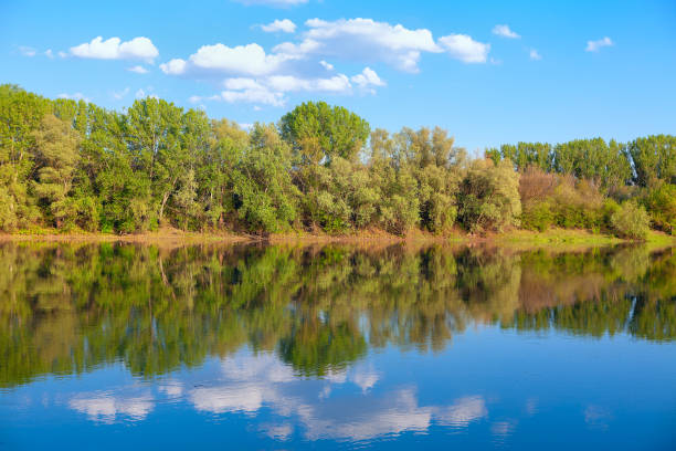 istock parkland at the riverside 1226663571