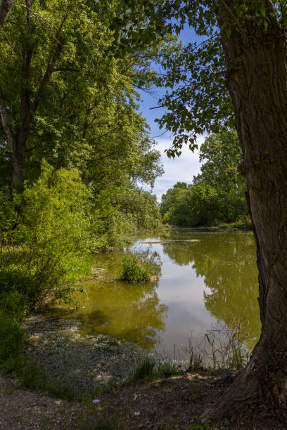 istock Landscape by the river Little Danube 1226664564