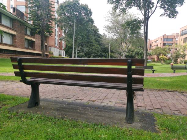 istock Lonely bench in the park during the quarantine 1226668864