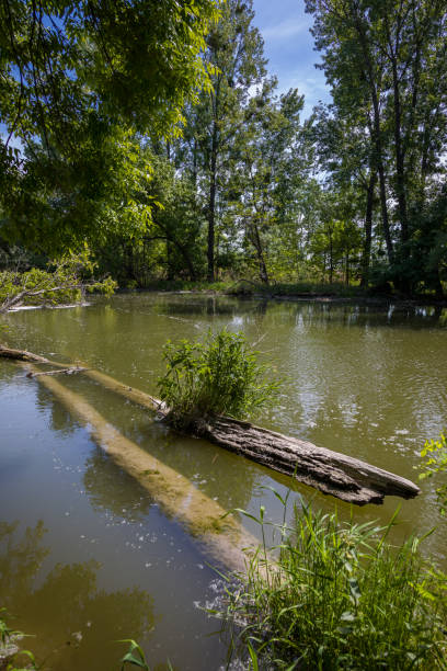 istock Landscape by the river Little Danube 1226668930