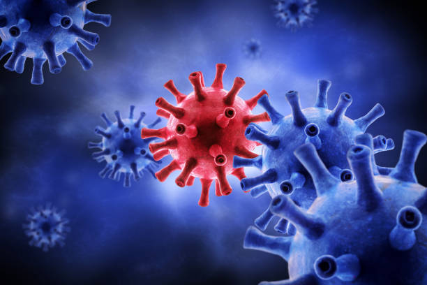 istock Coronavirus or flu virus pathogen inside organism on blue background, SARS-CoV-2 corona virus under microscope, 3d rendering. 1226668977