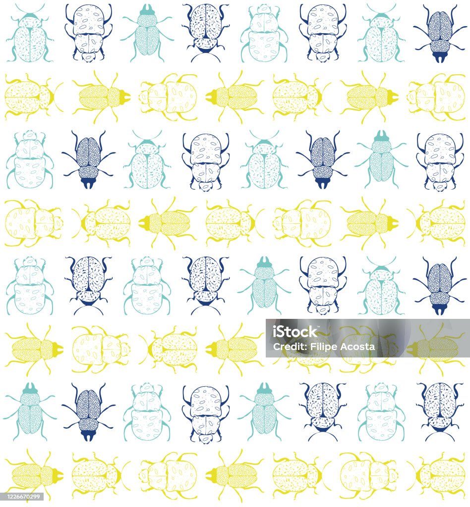 Beetle Graph Pattern Beetle Pattern Stock Illustration - Download Image Now - Beetle, Blue ...