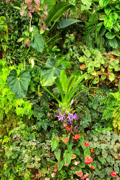 istock Green tropical garden with varieties of different plants 1226671614