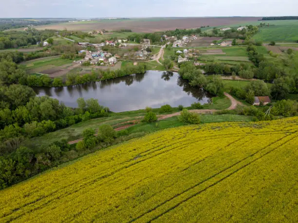 Local historian over a rapeseed field and a view of a lake, a river and a small village.