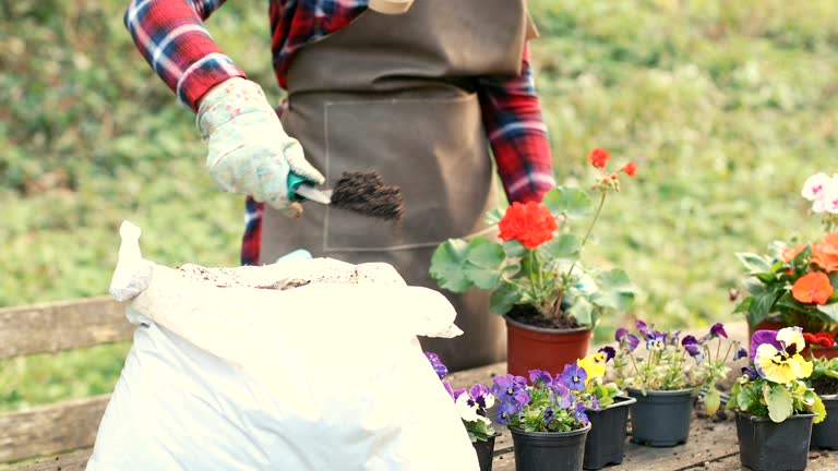 Gardening activities