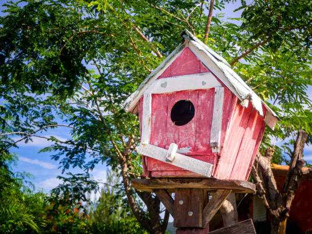 庭と木の中の赤い木の鳥の家 - birdhouse wood pole hole ストックフォトと画像