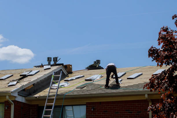 Roof repair, worker with replacing gray tiles shingles on house Roof repair, worker with replacing gray tiles shingles on house being applied manual worker house work tool equipment stock pictures, royalty-free photos & images