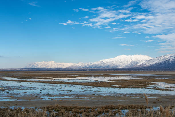 Wasatch mountains  from Farmington Bay along shore of Great Salt Lake in Utah in February
