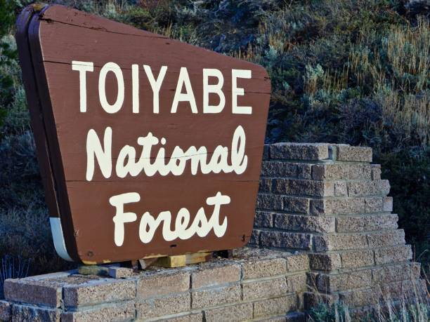 istock Toiyabe National Forest 1226684189