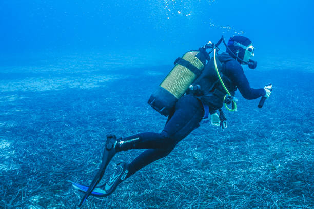 scuba diver explores underwater reefs - 4724 imagens e fotografias de stock