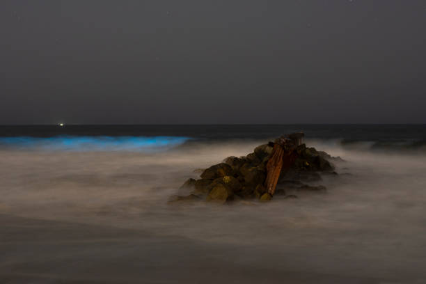 istock Bio-luminescent waves and rock formation at the beach at night. 1226690653