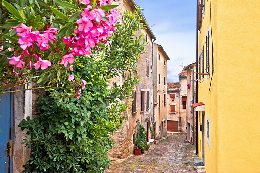 Buje. Town of Buje cobbled old colorful steet view, Istria region of Croatia