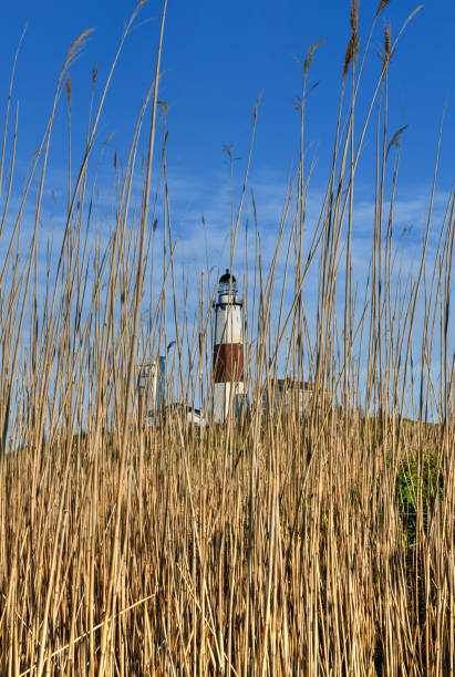 маяк монток - лонг-айленд, нью-йорк - the hamptons long island lighthouse стоковые фото и изображения