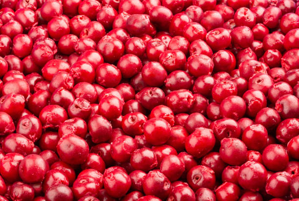 istock Frozen fresh sour cherries, pitted. Food background. Top view. 1226701316
