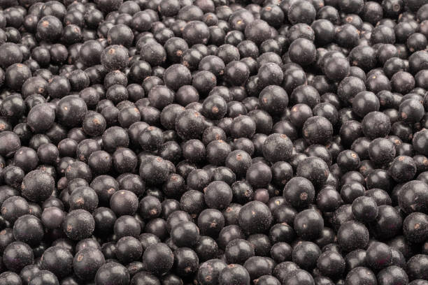 istock Frozen fresh black currant. Food background. Top view. 1226701428