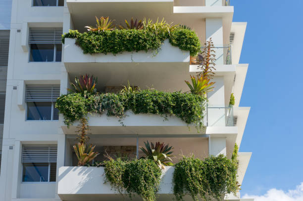 istock Green potted plants on balconies on white building 1226702154