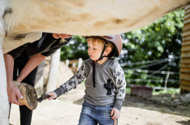 giovane donna che insegna a un ragazzo come prendersi cura di un cavallo - teaching child horseback riding horse foto e immagini stock