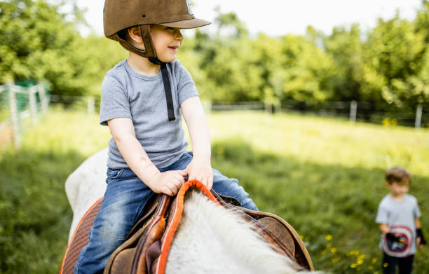 istock Little boy riding a horse 1226703386