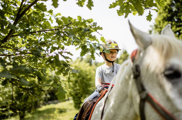 istock Little boy riding a horse 1226704221