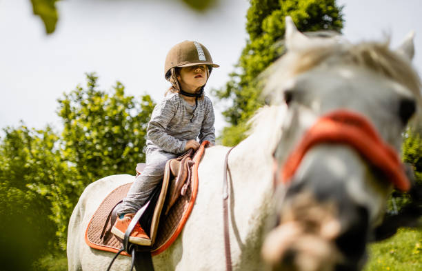 istock Little boy riding a horse 1226704247