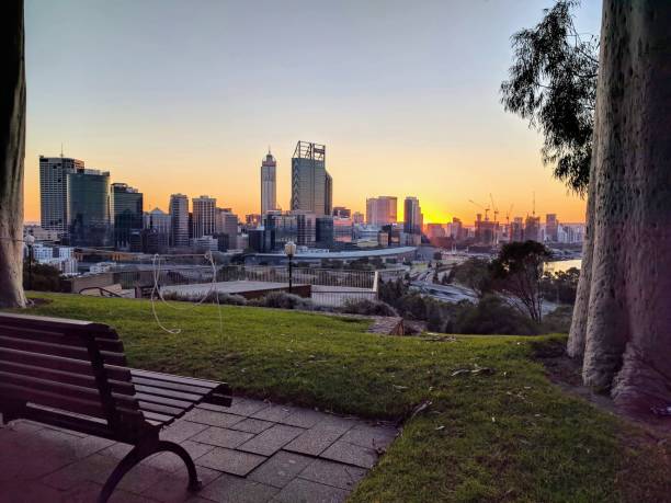 Perth city at sunrise. Kings Park A view of Perth CBD at Sunrise from Kings Park kings park stock pictures, royalty-free photos & images