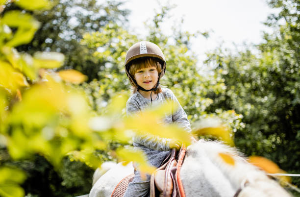 istock Little boy riding a horse 1226704859