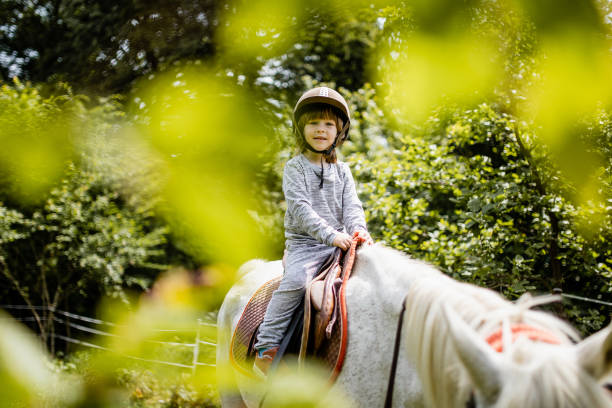 istock Little boy riding a horse 1226704971