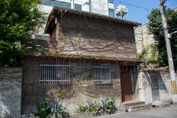 Old Japanese house with dead ivy crawling on the wall Old Japanese house with dead ivy crawling on the wall/ April 4, 2020 Osaka City, Osaka Prefecture, Japan abandoned place photos stock pictures, royalty-free photos & images