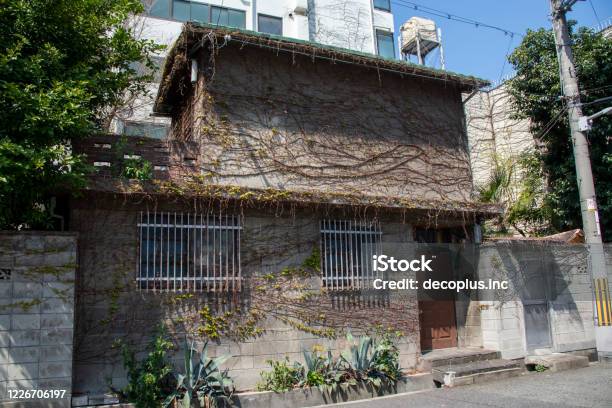 Old Japanese House With Dead Ivy Crawling On The Wall Stock Photo - Download Image Now