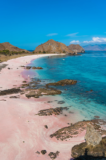 Playa de Sarai o playa rosa en el parque nacional de Komodo, isla Flores en Indonesia photo