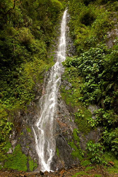 istock WATERFALLS, MANU NATIONAL PARK IN PERU 1226707182