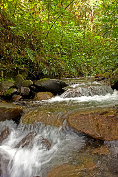 WATERFALLS, MANU NATIONAL PARK IN PERU