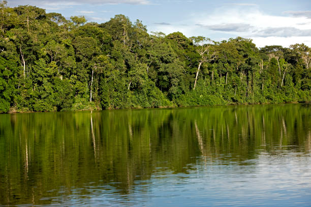 istock MADRE DE DIOS RIVER, MANU NATIONAL PARK IN PERU 1226707227