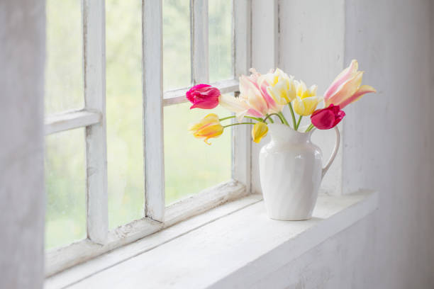 istock beautiful tulips in vase on white windowsill 1226721103