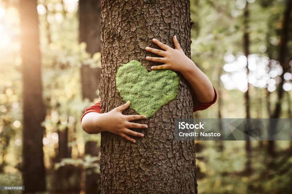 Child hugging tree with heart shape on it Nature lover, close up of child hands hugging tree with copy space Child Stock Photo