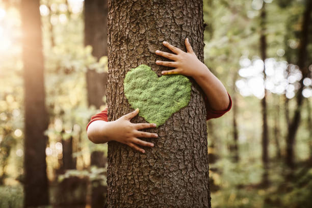 Child hugging tree with heart shape on it Nature lover, close up of child hands hugging tree with copy space loving life stock pictures, royalty-free photos & images