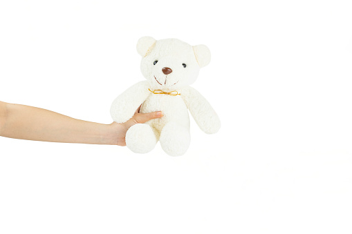 Hand holding small white bear on white background