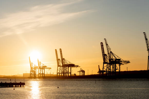 istock Large ship to shore container cranes at sunset 1226723706