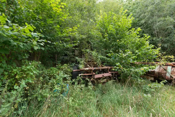 Photo of Parts of a rusty truck chassis visible through bushes, grass and trees