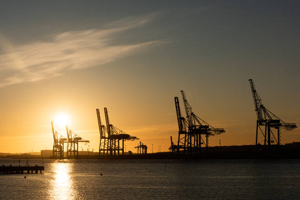 istock Large ship to shore container cranes at sunset 1226723717