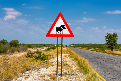 Warthogs crossing warning road sign placed along a road near Etosha National Park in Namibia.