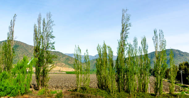 Beautiful landscape in the countryside